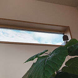 観葉植物/空が見える窓/窓/ベッド周り/LIXIL窓のインテリア実例 - 2020-09-16 15:48:47