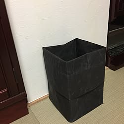 リビング/ゴミ箱のインテリア実例 - 2017-01-19 08:51:59