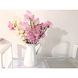 ピンク/スイトピー♡/スイトピー/IKEAの花瓶/IKEA...などのインテリア実例 - 2020-04-12 11:03:48