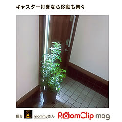 部屋全体/シルクジャスミンの鉢植え/キャスター付き花台/RoomClip mag掲載ありがとうございます/昭和の家...などのインテリア実例 - 2024-03-05 08:30:44