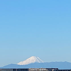 さみぃなぁ/1月1日の富士山/2022年もよろしくお願いいたします/こどもと暮らす/シニア犬と暮らす...などのインテリア実例 - 2022-01-01 10:30:43