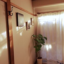 壁/天井/観葉植物/2DK 賃貸/シンプルのインテリア実例 - 2016-12-15 15:17:11