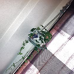 部屋全体/植物のインテリア実例 - 2013-03-02 17:00:29