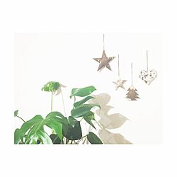 棚/ACTUS/観葉植物/オーナメント/クリスマスのインテリア実例 - 2015-11-11 00:04:52