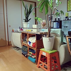 リビング/手作り/DIY/マスキングテープDIY/観葉植物...などのインテリア実例 - 2015-04-02 05:00:37