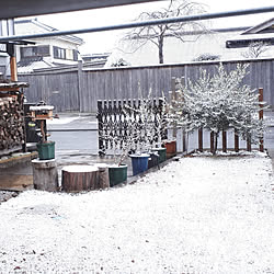 玄関/入り口/雪景色の庭/にわのある暮らし/薪棚/野鳥の来る庭...などのインテリア実例 - 2022-01-06 15:40:01