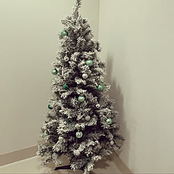 クリスマスツリー/クリスマス/玄関/入り口のインテリア実例 - 2022-11-23 15:14:28