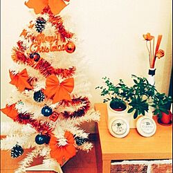 リビング/クリスマスツリー/観葉植物/IKEA/多肉植物...などのインテリア実例 - 2015-11-17 18:48:13