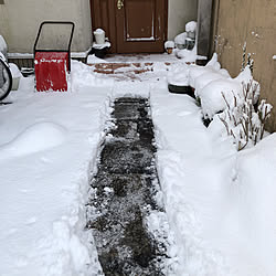 積雪20センチ/皆様に感謝♡/見て頂きありがとうございます/積雪/ママダンプ...などのインテリア実例 - 2023-01-25 08:17:24