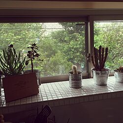 キッチン/タイル貼り/植物/窓から見える緑/植物のある暮らし...などのインテリア実例 - 2016-06-07 09:45:37