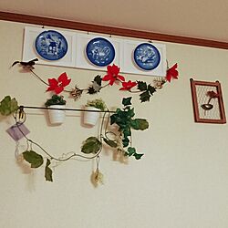 壁/天井/Daisoのインテリア実例 - 2016-11-19 16:46:55