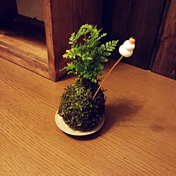 玄関/入り口/お正月/買ったよ♥︎/植物/こけだまのインテリア実例 - 2014-12-14 18:23:22