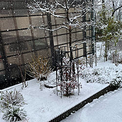 風邪引かないでねっ/雪景色*＊*/寒いです/しんしんと積もってます/雪1℃❄️...などのインテリア実例 - 2022-12-18 11:45:10