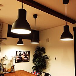 キッチン/照明/IKEAのインテリア実例 - 2017-06-30 19:43:37