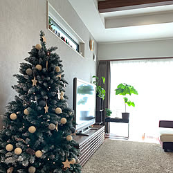 ウンベラータ/クリスマスツリー150cm/タンスのゲン/リビングのインテリア実例 - 2019-12-23 20:16:46