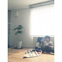 部屋全体/仲良し兄妹♡/リビングの後ろ側/観葉植物をおきたい！/ウンベラータ♡...などのインテリア実例 - 2017-03-26 13:35:13