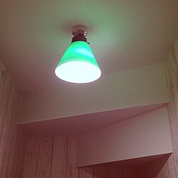 壁/天井/照明のインテリア実例 - 2013-09-14 22:17:30