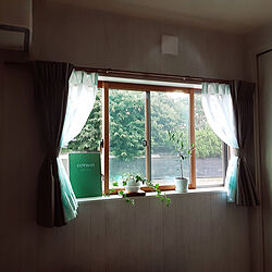 窓/ベッド周り/観葉植物/オリーブ/アイビー...などのインテリア実例 - 2020-08-01 06:00:07
