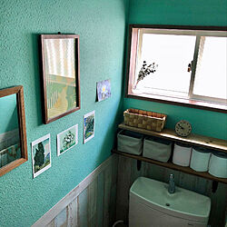 トイレの壁/トイレ/ゴッホ/壁紙の上から塗れるペンキ/オーロラグリーン...などのインテリア実例 - 2022-02-13 21:08:54