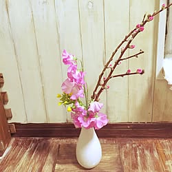 部屋全体/スイトピー/桃の花のインテリア実例 - 2016-02-22 22:29:54
