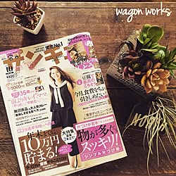 机/キャンドゥのフェイク多肉/サンキュ！/wagonworks/DIY...などのインテリア実例 - 2015-09-02 09:33:50