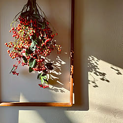壁/天井/クリスマス/パントリー/パントリーの窓辺/珪藻土の壁...などのインテリア実例 - 2022-12-10 09:21:16