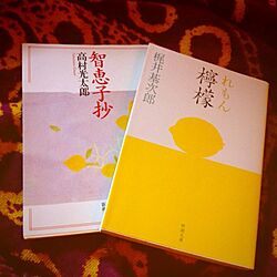 ベッド周り/小説/レモンのインテリア実例 - 2013-07-27 23:09:28