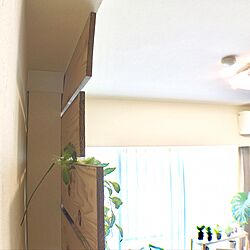 壁/天井/DIY/フェイクグリーン/ディアウォールの壁/一人暮らし...などのインテリア実例 - 2017-06-23 10:01:39