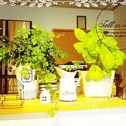 キッチン/カフェ風/観葉植物のインテリア実例 - 2016-03-06 09:11:57