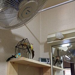 棚/洗面所/壁に扇風機/換気対策のインテリア実例 - 2014-07-30 09:56:36