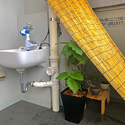 ベランダ/自動水やり機/観葉植物/自動散水機/すだれ...などのインテリア実例 - 2021-07-25 22:45:50