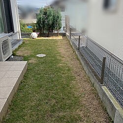 芝刈り/庭/玄関/入り口のインテリア実例 - 2021-11-05 14:10:23