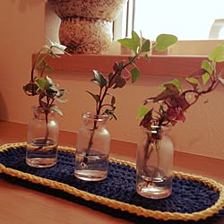 バス/トイレ/植物/アヴリルの糸/ハンドメイド/ビンのインテリア実例 - 2014-05-01 09:38:36