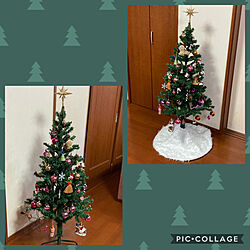 クリスマスツリー/マルチーズ/リビングのインテリア実例 - 2020-11-26 21:23:06