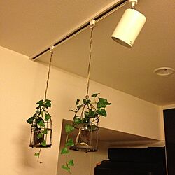 壁/天井/植物/照明のインテリア実例 - 2013-09-09 20:48:56