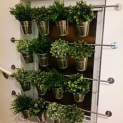 玄関/入り口/雑貨/植物/IKEA/フェイクグリーンのインテリア実例 - 2014-06-15 14:17:44
