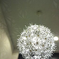壁/天井/IKEA/照明のインテリア実例 - 2013-04-04 23:06:45