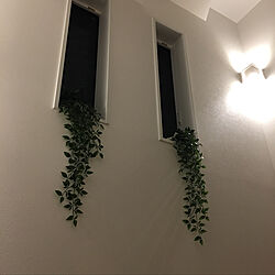 壁/天井/IKEA/観葉植物のインテリア実例 - 2017-09-01 20:00:05
