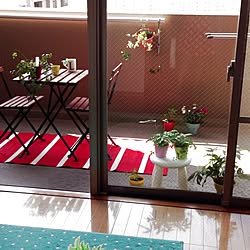 部屋全体/おうちカフェ/IKEA/植物/ベランダ...などのインテリア実例 - 2013-11-17 11:03:30