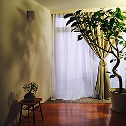 部屋全体/IKEA/観葉植物/一人暮らしのインテリア実例 - 2016-10-26 01:05:17