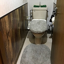 トイレ改造計画/DIYのインテリア実例 - 2017-11-29 16:39:41