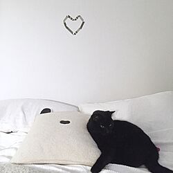 ベッド周り/ねこのいる日常/猫/黒猫/H&M HOME...などのインテリア実例 - 2016-02-12 18:16:04