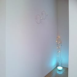 玄関/入り口/Philips Hue/PHILIPS/Philips Hue Go/Hue Go...などのインテリア実例 - 2016-12-22 06:01:09