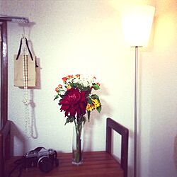 棚/植物/癒し/照明/和室のインテリアのインテリア実例 - 2013-04-13 17:02:42
