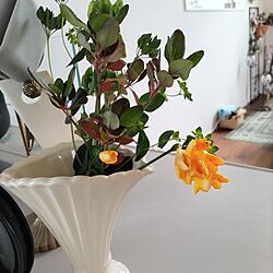 机/ガーデニングが好き/庭の花を飾る/花瓶/コベントガーデンのインテリア実例 - 2024-04-16 17:50:44