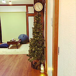 クリスマスツリー150cm/ハーフツリー/クリスマス/クリスマスツリー/趣味部屋...などのインテリア実例 - 2021-11-07 22:03:27