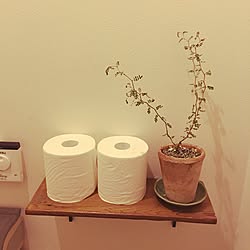 バス/トイレ/植物/観葉植物/DIY/カフェ風のインテリア実例 - 2015-11-09 23:47:06