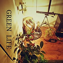 棚/植物/green/日常の風景❤/皆様今日もお疲れ様でした(⌒‐⌒)...などのインテリア実例 - 2015-04-04 20:55:40