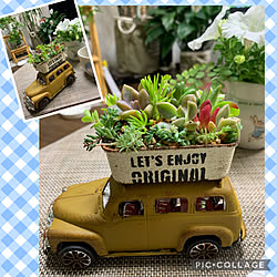 多肉植物のある暮らし/リメ缶リメ車/好きな時間/いつもみて頂き有難う御座います(^^)/一人時間のある暮らし...などのインテリア実例 - 2022-05-23 20:42:53