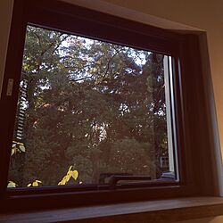 壁/天井/グリーンのある窓辺のインテリア実例 - 2014-11-29 15:09:12